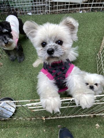 MIX(小型） マーベル