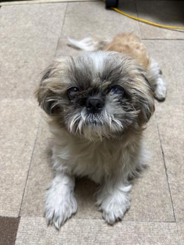 MIX(小型） 太郎１９号